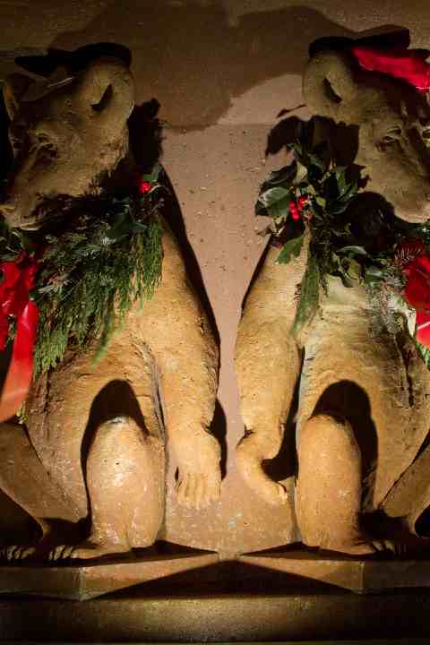 Marin Circle Fountain at Night - The Cal Bears - Northbrae/Thousand Oaks Neighborhood