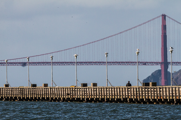 High Tide Berkeley Marina