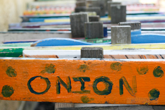 Edible Garden - Martin Luther King Schoo Berkeley