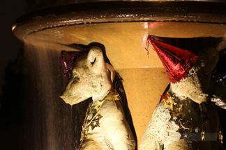 Elmwood Theater Berkeley