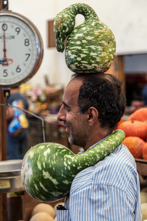 Monterey Market Squash