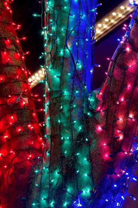 1528 Hopkins Northbrae Berkeley Lights