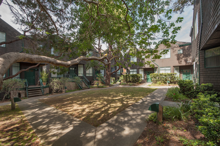 North Berkeley Condo